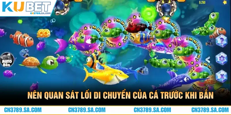 Nên quan sát chuyển động thật kỹ của cá trước khi xả đạn 